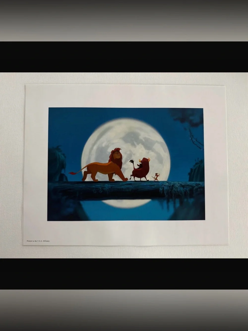 Disney Vintage Lion King Special Edition Movie Lithograph Portfolio